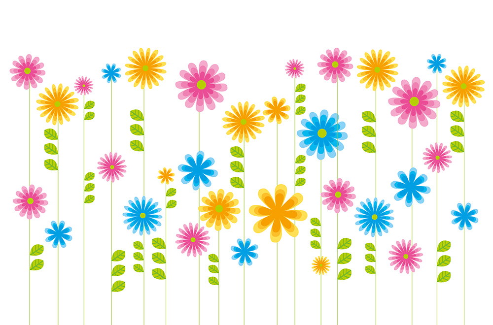 Fototapete - Bunte Blumenvielfalt mit rosa, blauen und gelben Blüten sowie grünen Blättern