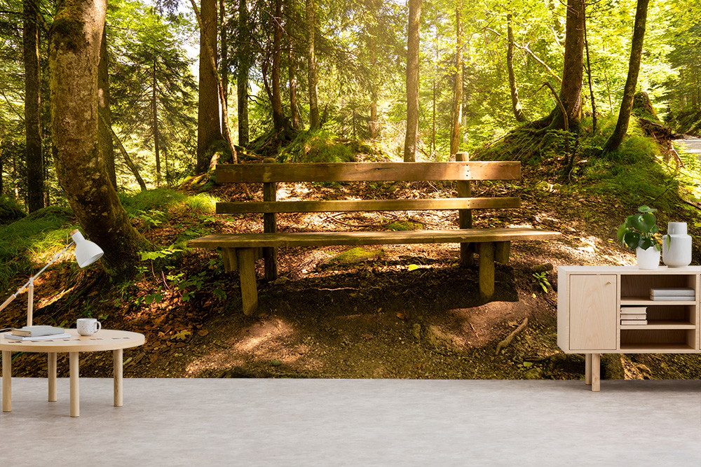 Papier peint photo - Banc en bois dans une forêt ensoleillée, entouré d'arbres verts et de mousse