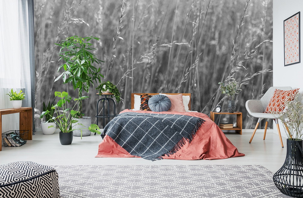 Wall mural - Modern bedroom with plants and black and white grass motif on the wall