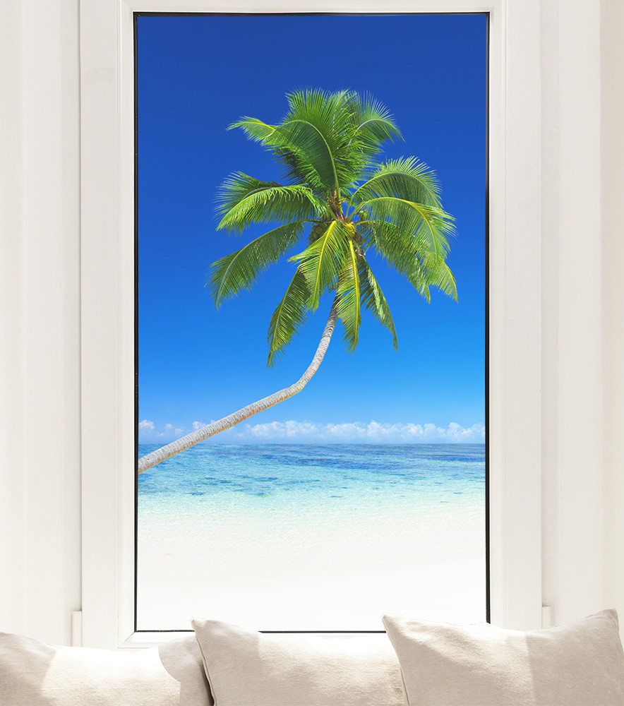 Raamfolie - Strand met palmboom