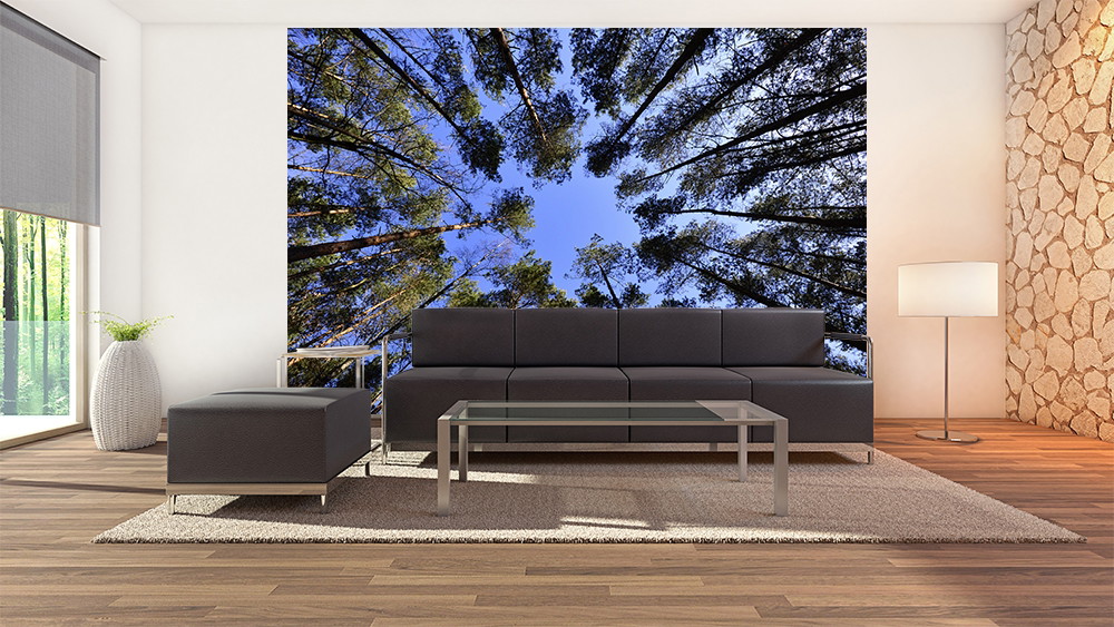 Fototapete - Wohnzimmer mit Fototapete, die den Blick von unten in einen Baumkronenhimmel zeigt