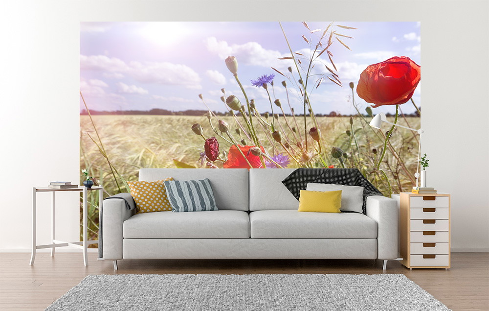 Wall mural - living room with mural of a summery meadow landscape with poppies in the foreground