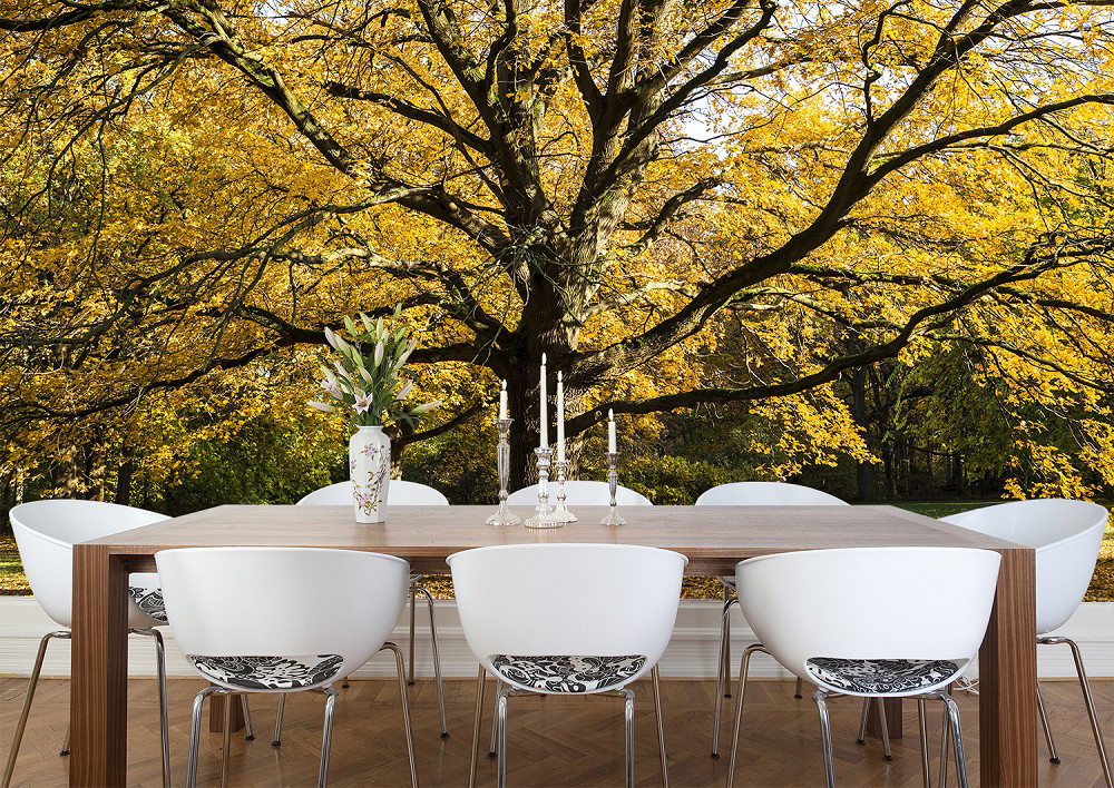 Fototapete - Moderner Essbereich mit großem Baum in herbstlichen Farben im Hintergrund