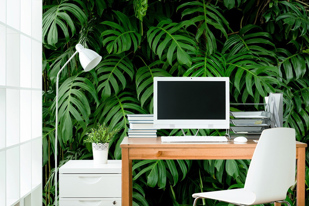 Fototapete - Büroschreibtisch mit Computer und Dschungel-Fototapete im Hintergrund