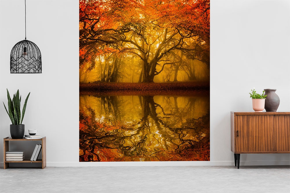 Muurschildering - Een grote boom met kleurrijke herfstbladeren wordt weerspiegeld in een kalm meer, omgeven door gouden licht.