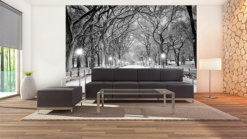 Wall mural - The snowy Central Park in New York