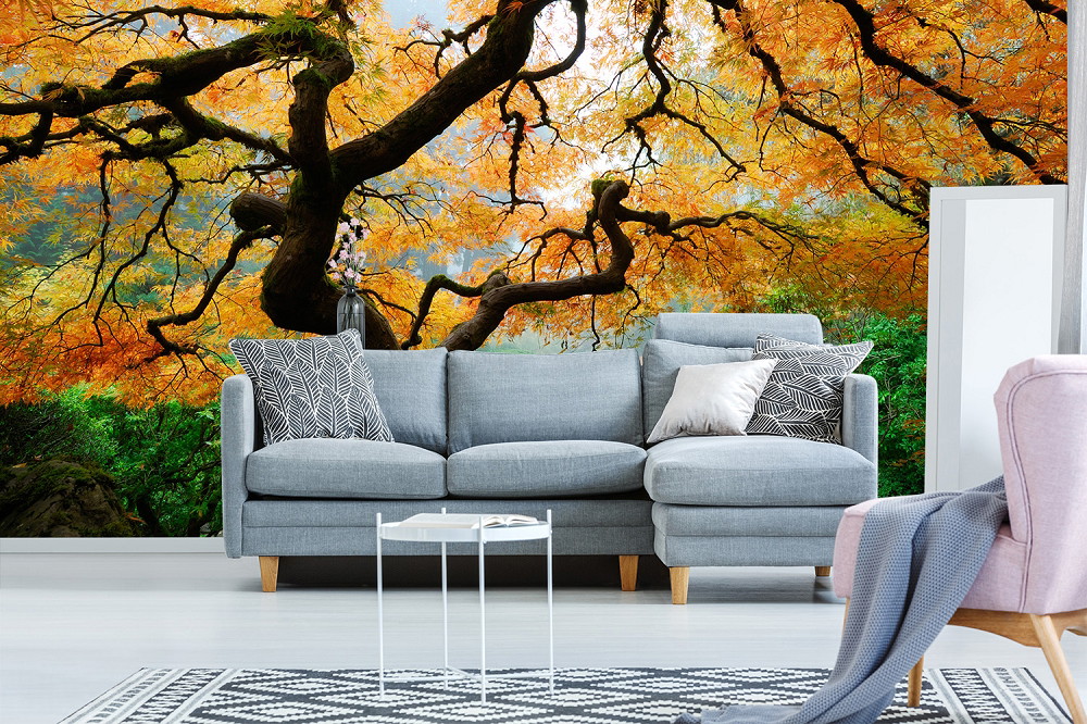 Fototapete - Graues Wohnzimmer-Sofa vor einer Fototapete mit herbstlichem Baum und bunten Blättern