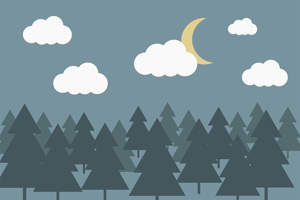 Muurschildering - Illustratie van een bos bij nacht met dennenbomen, maansikkel en verspreide wolken in de lucht