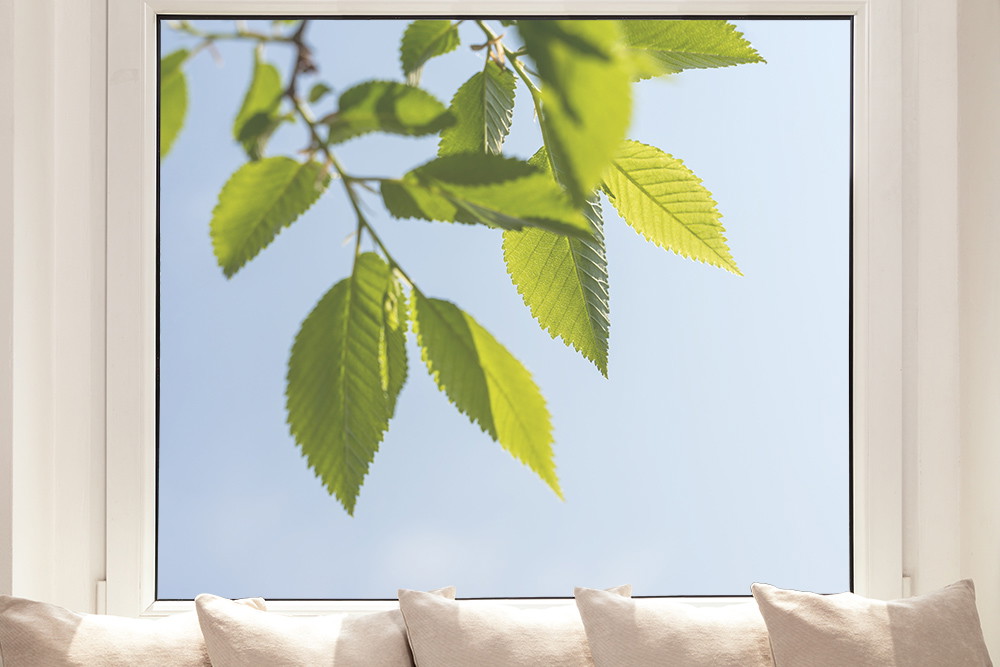 Blätter im Frühling - Fensterfolie