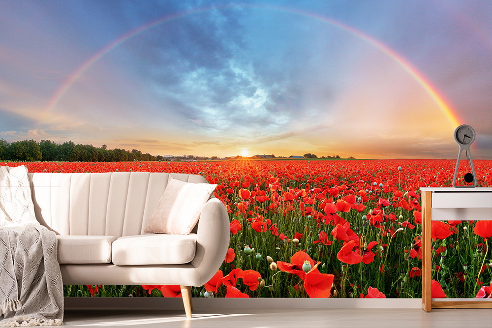 Papier peint photo - Vaste champ de coquelicots sous un ciel arc-en-ciel au coucher du soleil