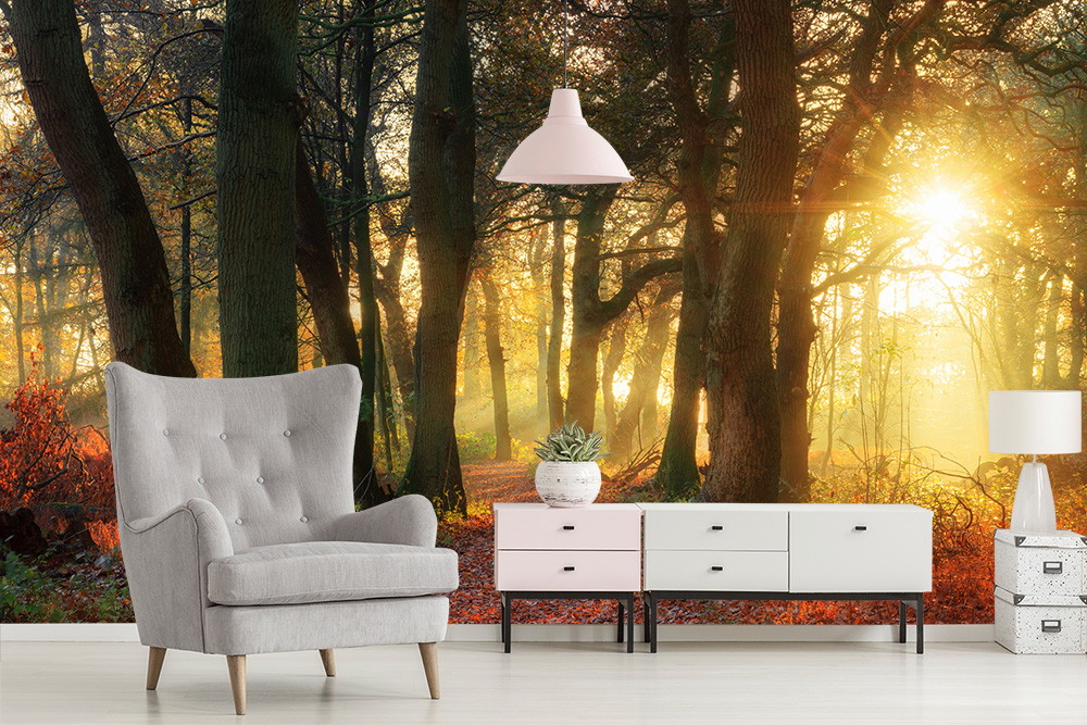 Fototapete - Waldlandschaft bei Sonnenaufgang, Herbstfarben, modernes Zimmer mit grauem Sessel und weißer Kommode