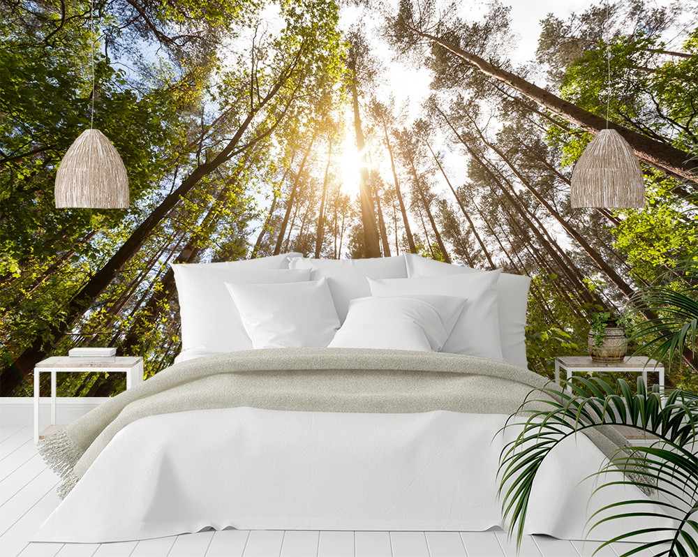 Fototapete - Schlafzimmer mit Waldmotiv, Bäume und Sonnenstrahlen durch das Blätterdach