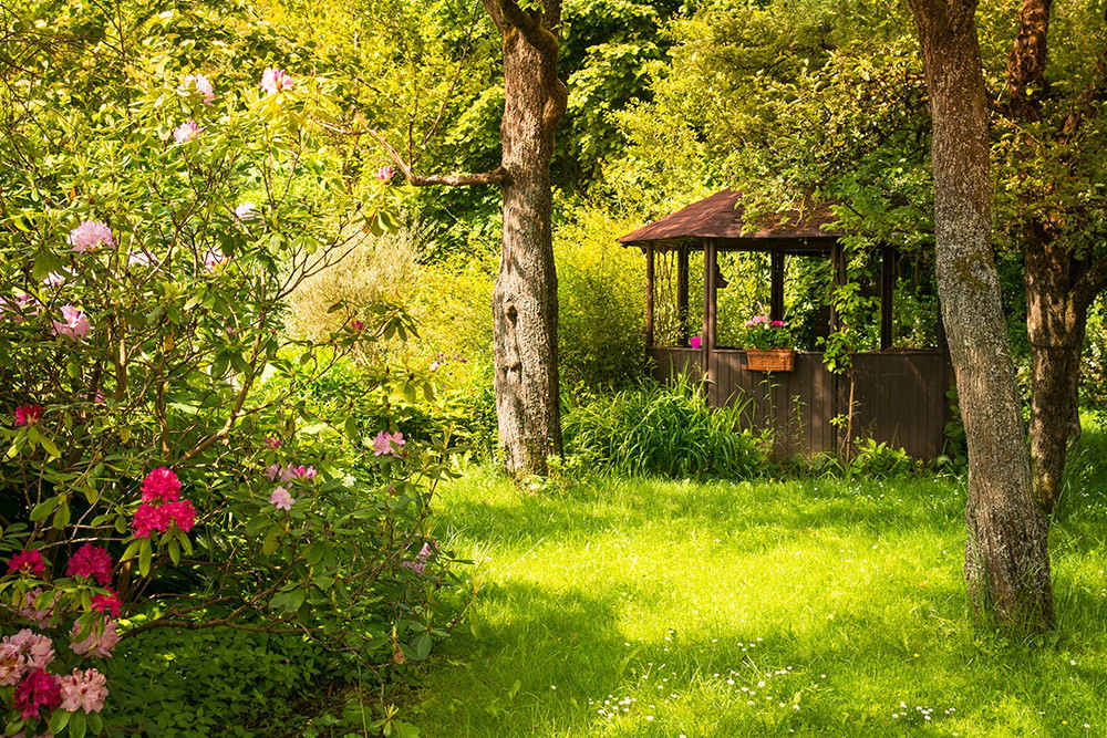 Fototapete - Ein malerischer Garten mit einem rustikalen Pavillon und blühenden Rhododendren im Sonnenlicht