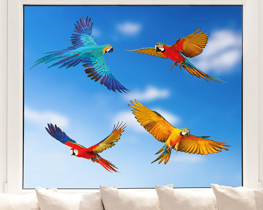 Fenstersticker fliegende Papageien